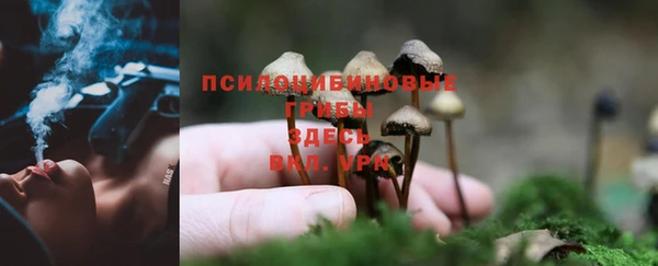 прущий лед Балабаново