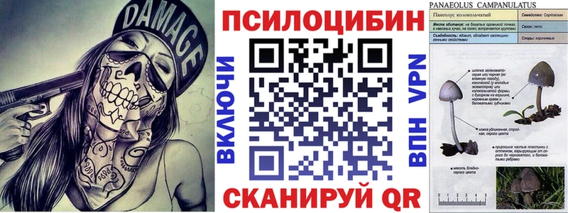 даркнет сайт  Воронеж  Галлюциногенные грибы GOLDEN TEACHER 